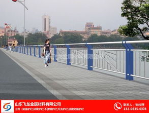 聊城飛龍橋梁護欄公司 鑄就道路安全屏障，匠心打造交通安全設施工程